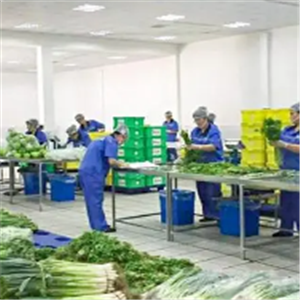 嬰智貝佳早教中心加盟 費(fèi)用多少 條件