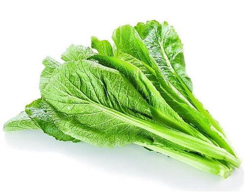 果蔬食品加工機械廠家直供 本信息長期有效